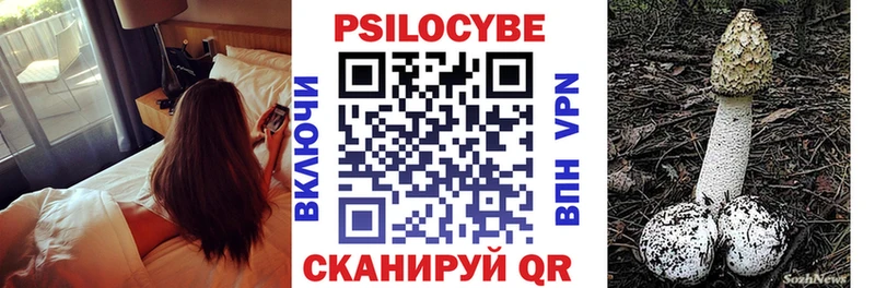 где можно купить наркотик  Партизанск  Псилоцибиновые грибы прущие грибы 